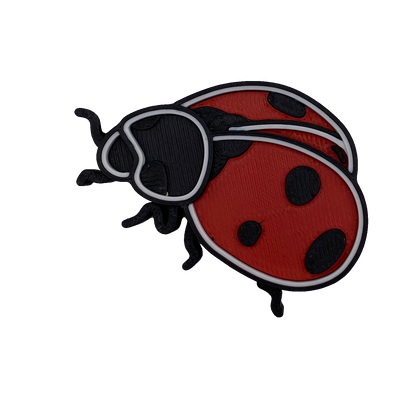 Lady Bug - medium