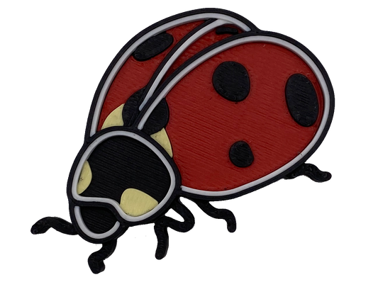 Lady Bug - medium