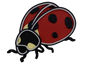 Lady Bug - medium